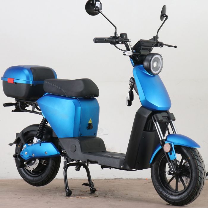 IVA K1-1