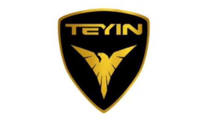 Teyin
